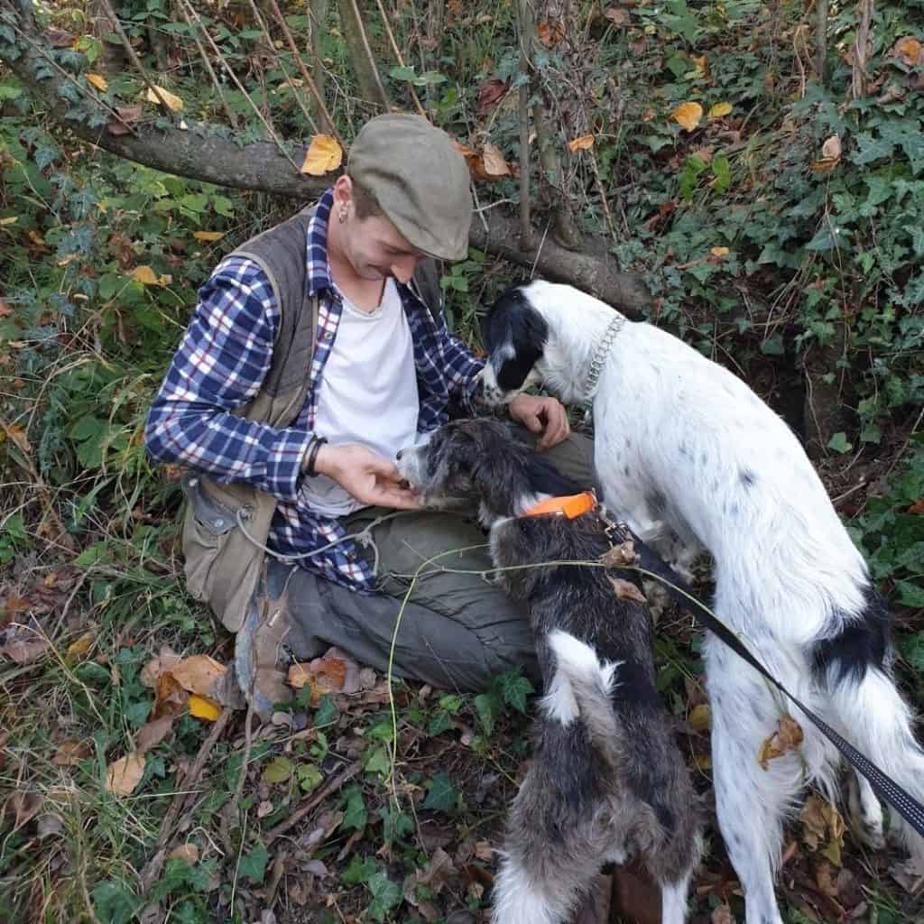 trufle hunting piedmont