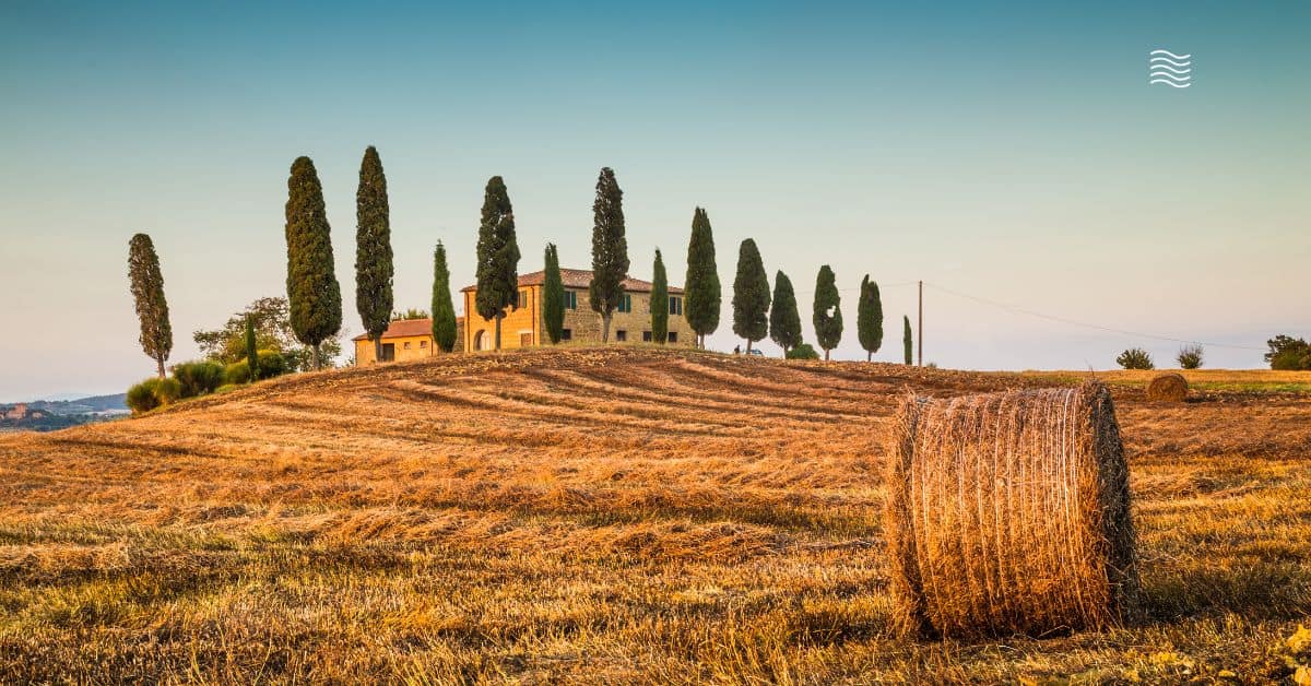 classic valdorcia