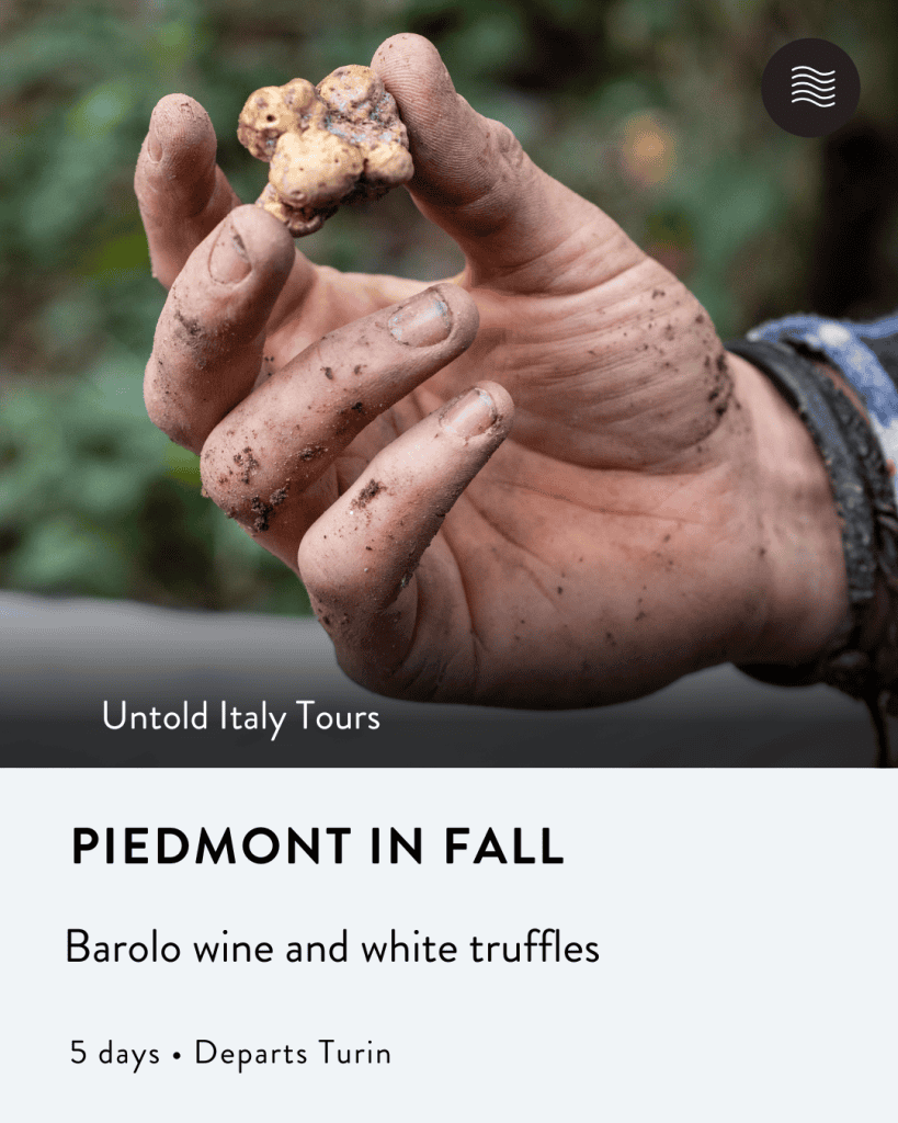 private barolo tour