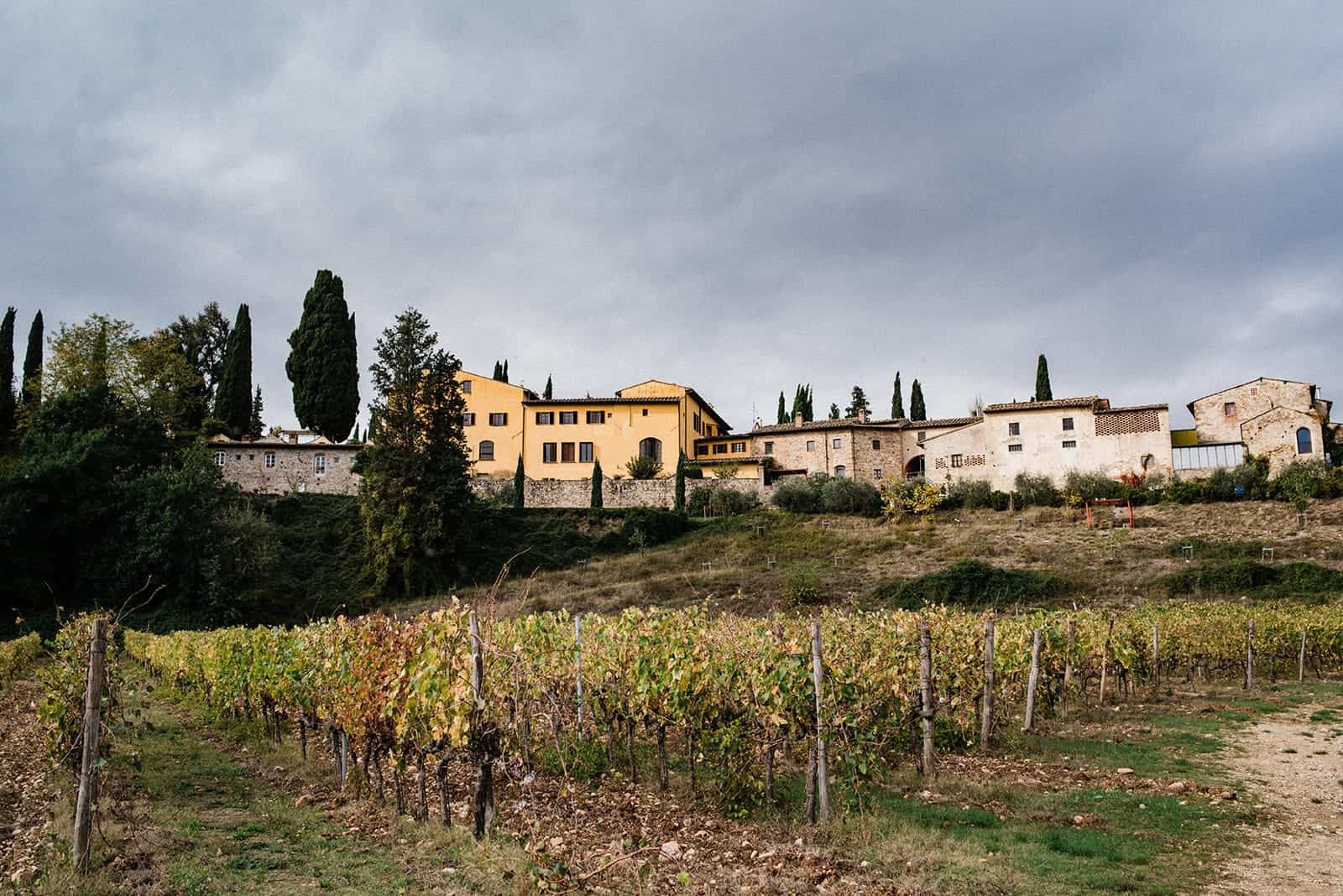 tuscan vineyards