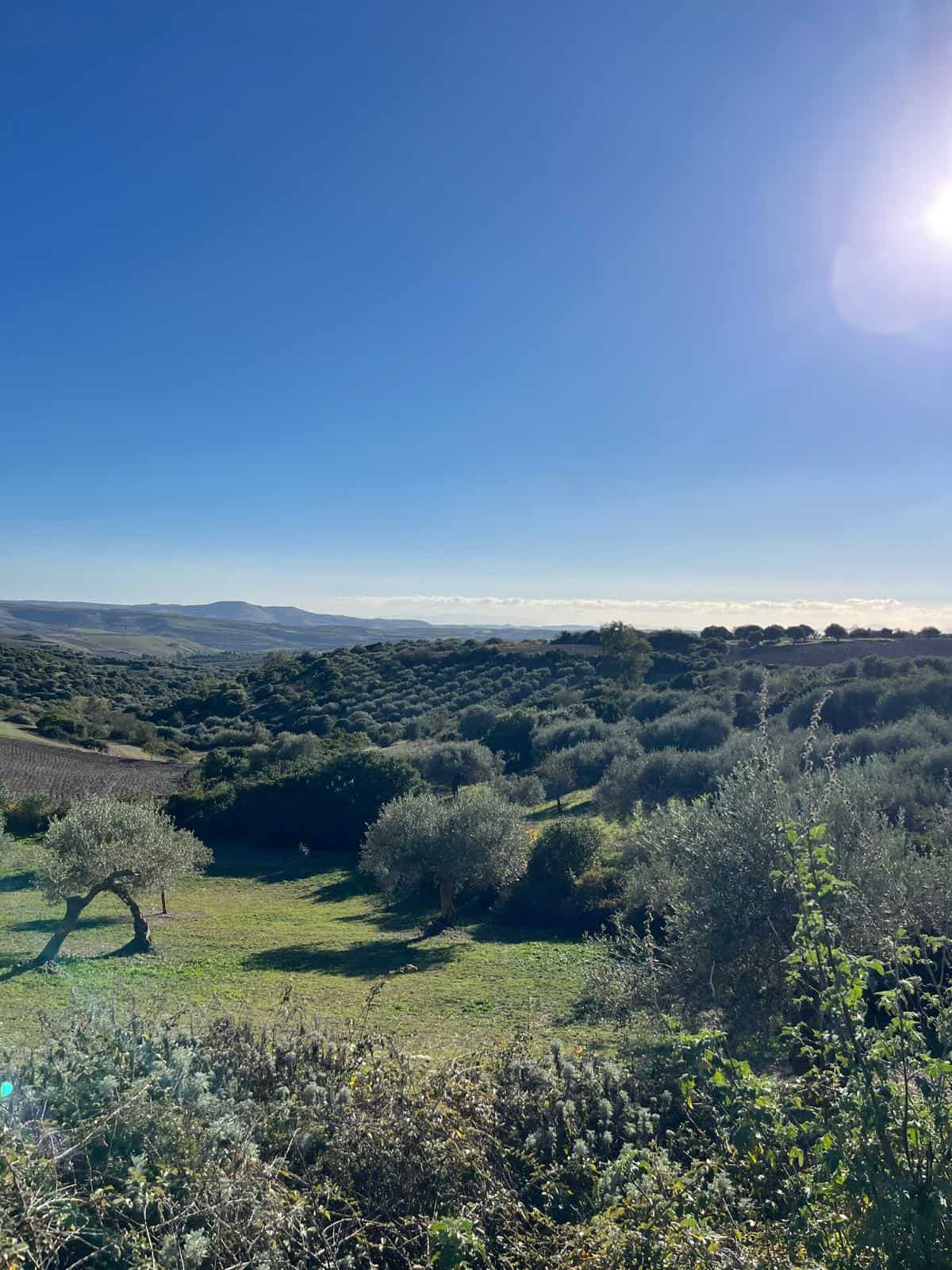sardinia countryside